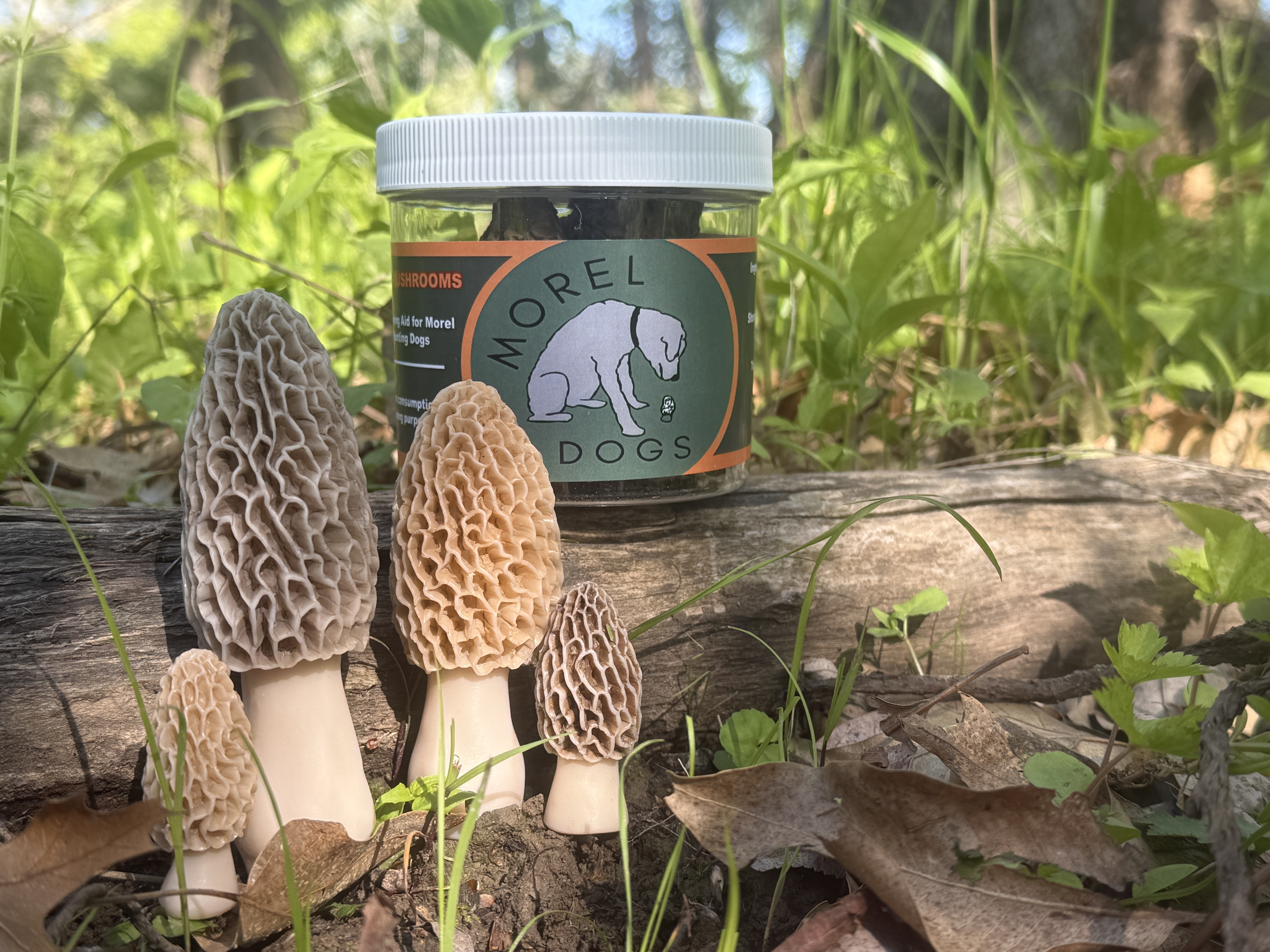 4 pack decoy Morel Mushrooms & Morel Dogs Dehydrated Morel Mushrooms