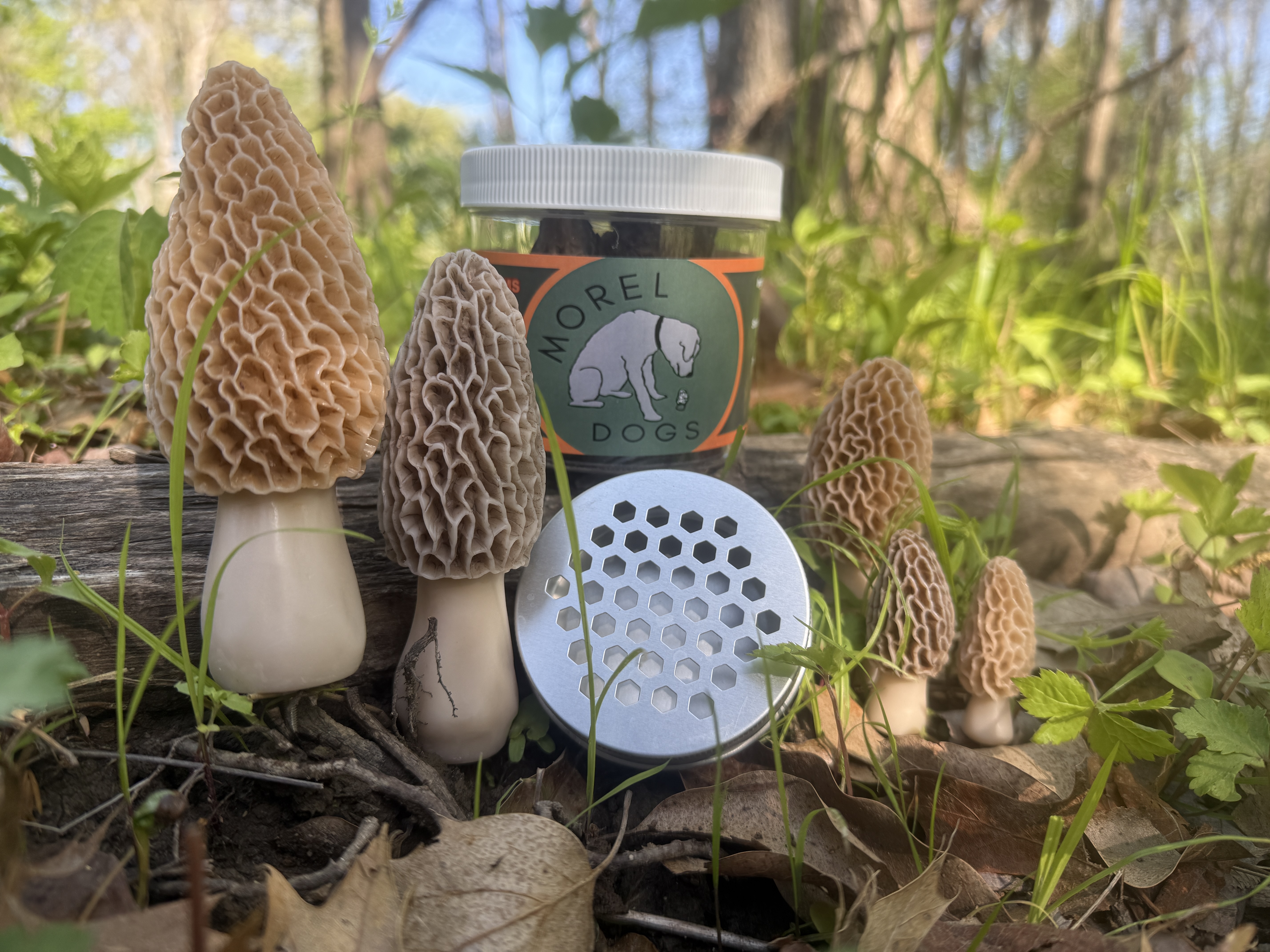 5 pack decoy Morel Mushrooms & Morel Dogs Dehydrated Morel Mushrooms