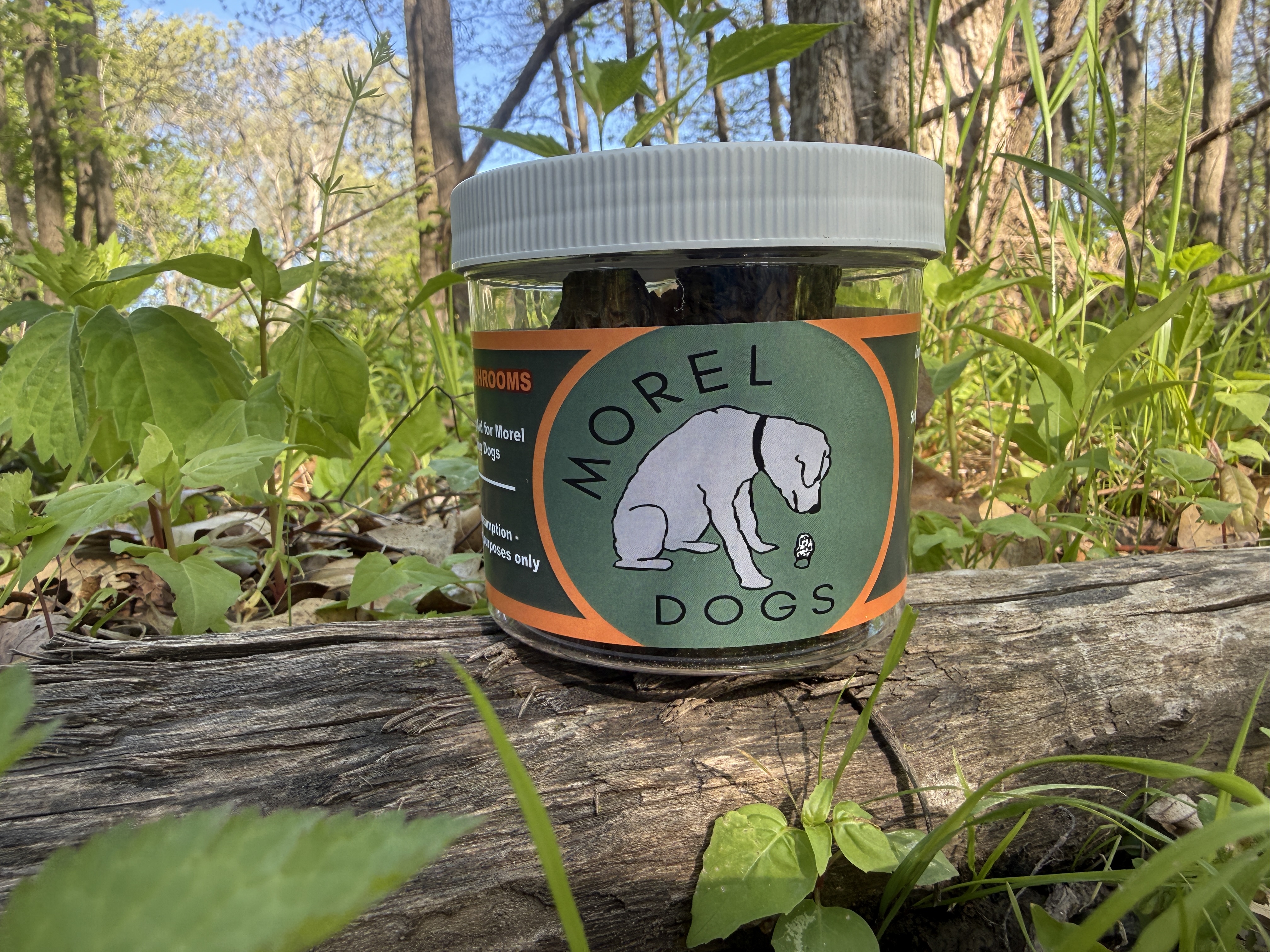 Morel Dogs Dehydrated Morel Mushrooms